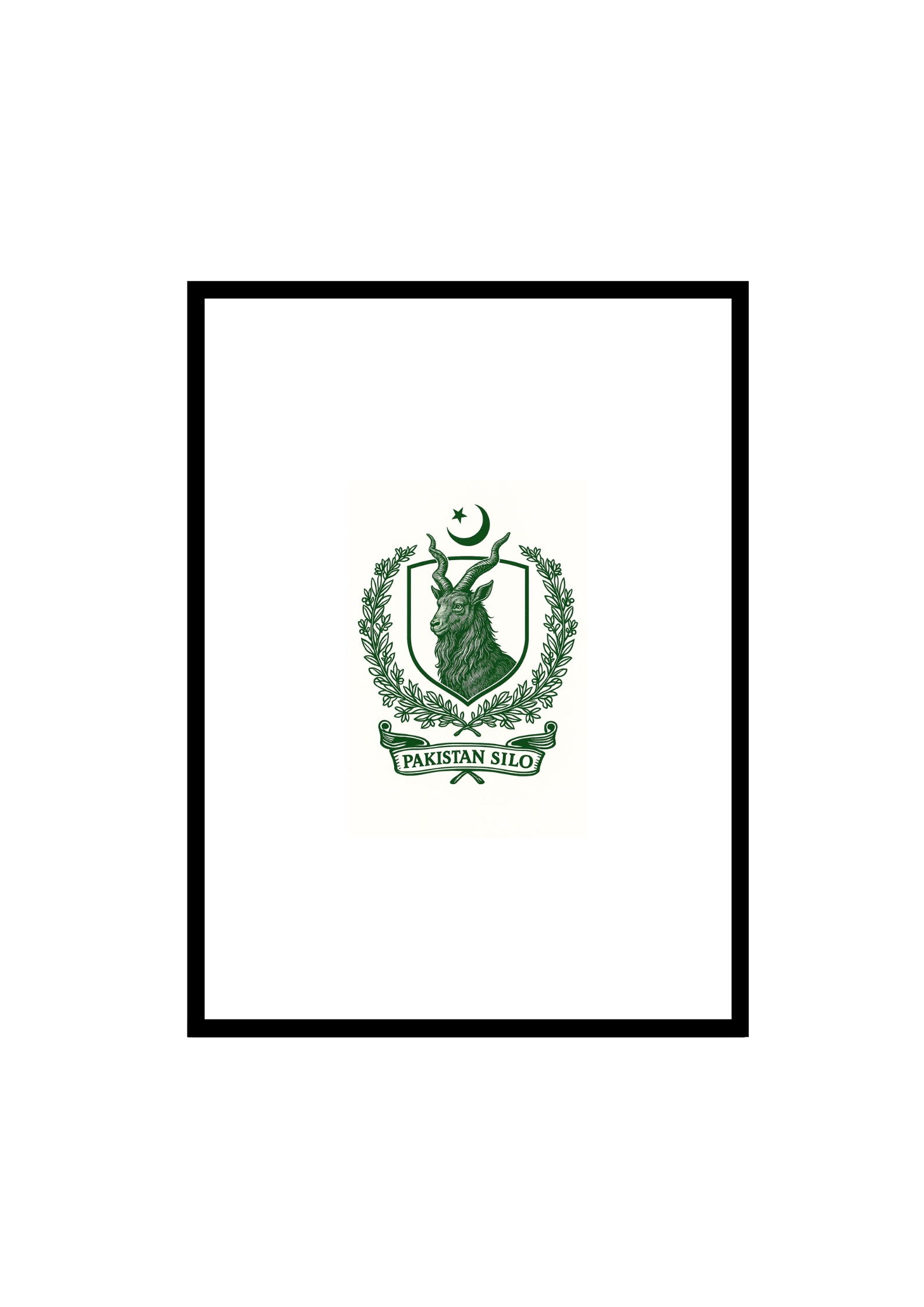Pakistan Silo Frame