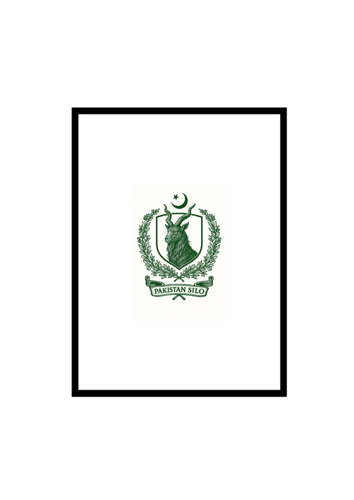 Pakistan Silo Frame